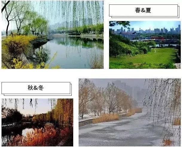 天津免费18个公园,城事天津