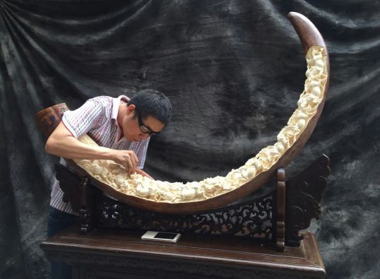 猛犸象牙收藏合法 (象牙与猛犸象牙收藏)