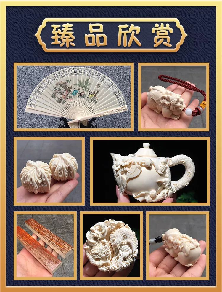 猛犸象牙收藏合法 (象牙与猛犸象牙收藏)