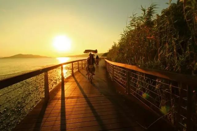 柏悦99元套餐,宁波柏悦优惠团购