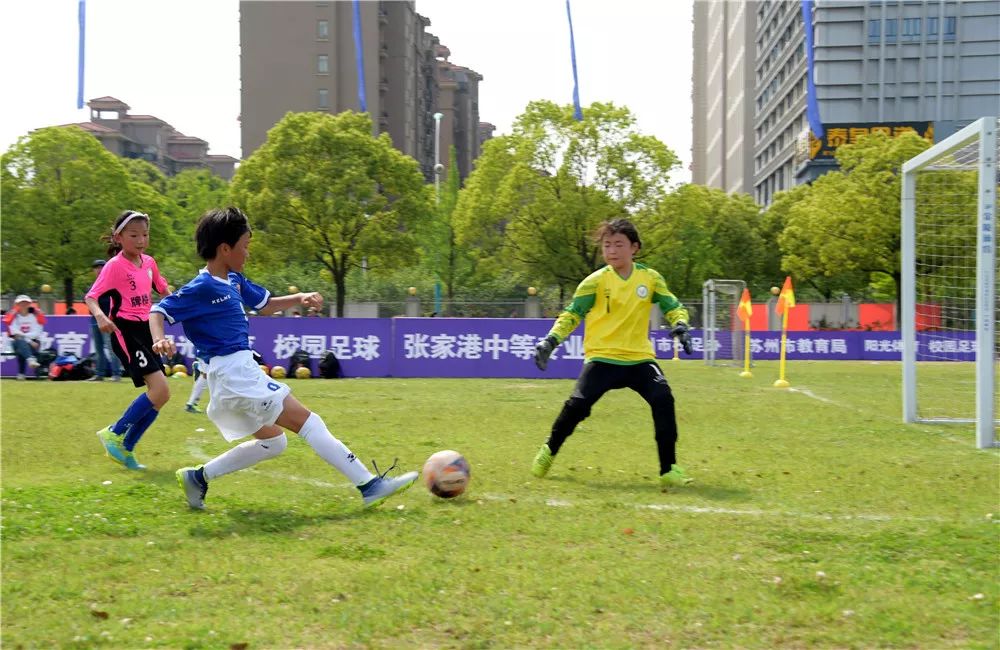 张家港线下观看比赛场地,绿茵场最新比赛