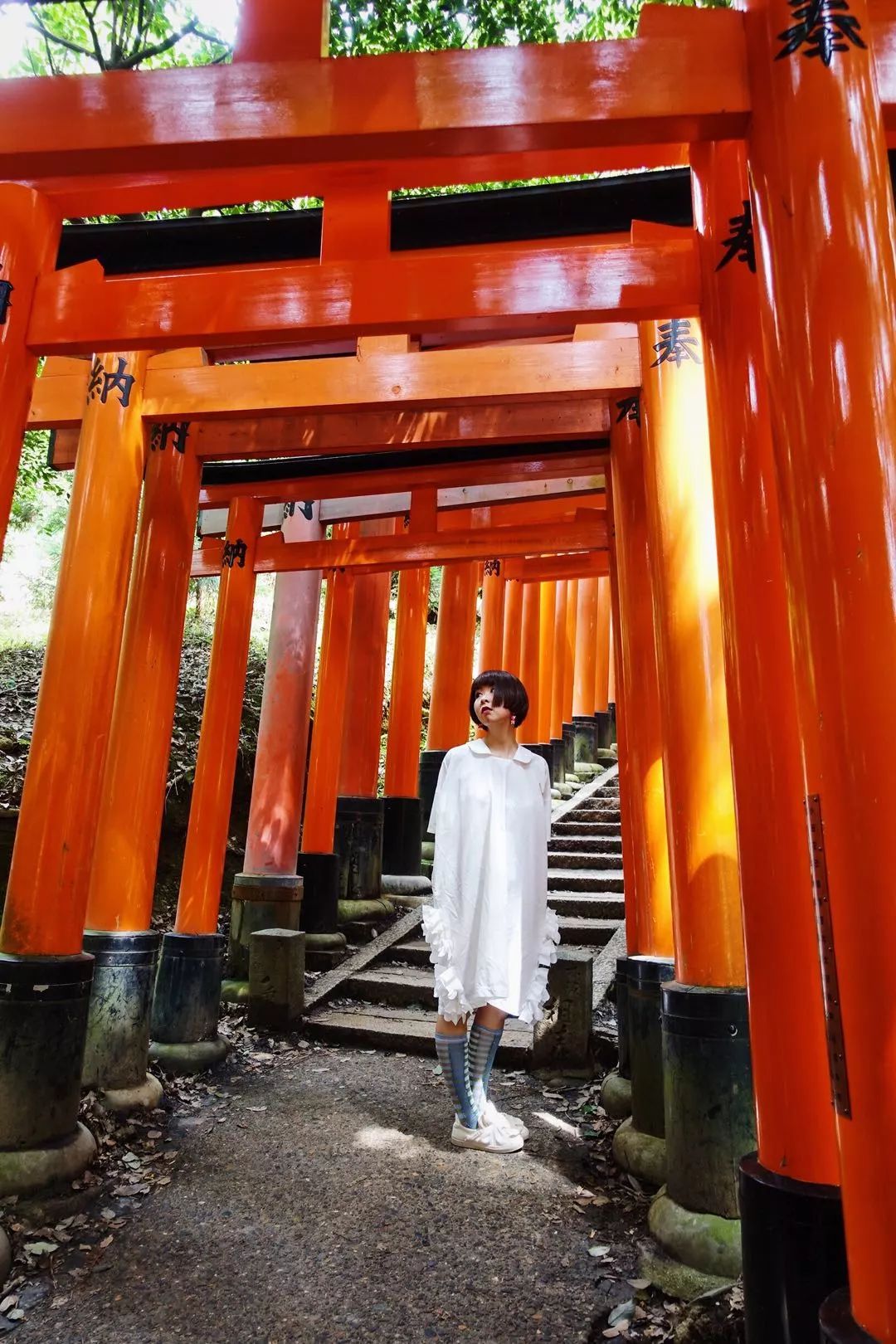 50鍛ㄥ勾,50鍛ㄥ勾浼佸垝