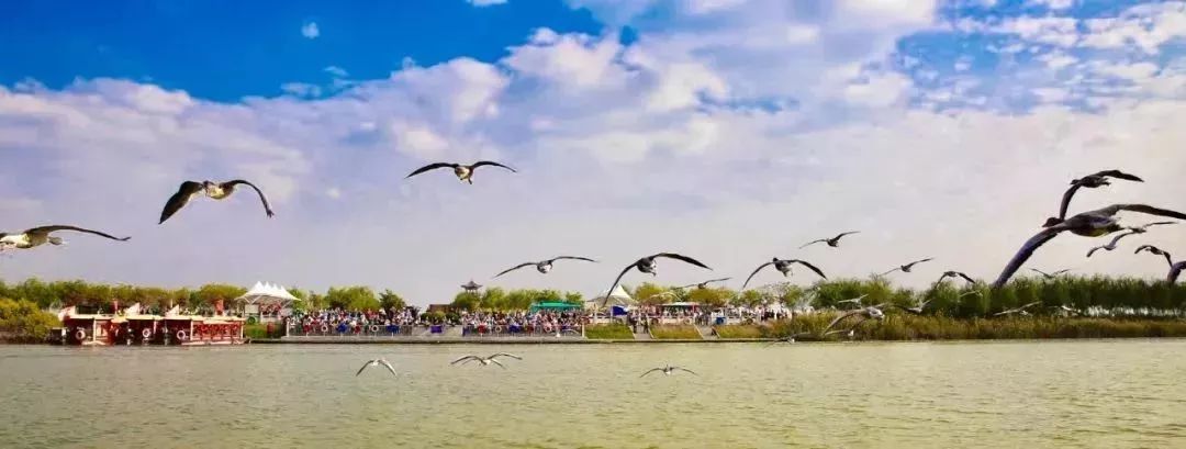 如果不打开这篇文章，你永远不会知道沧州居然可以这么好玩|漫游冀（12）