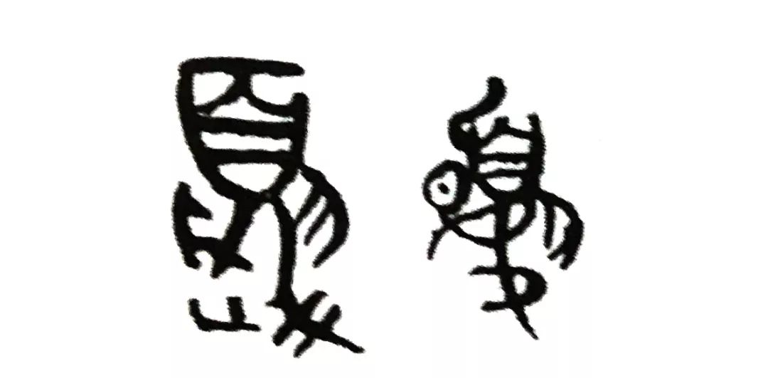 今日立夏愿我们都如夏花般绚烂,今日立夏愿我生如夏花