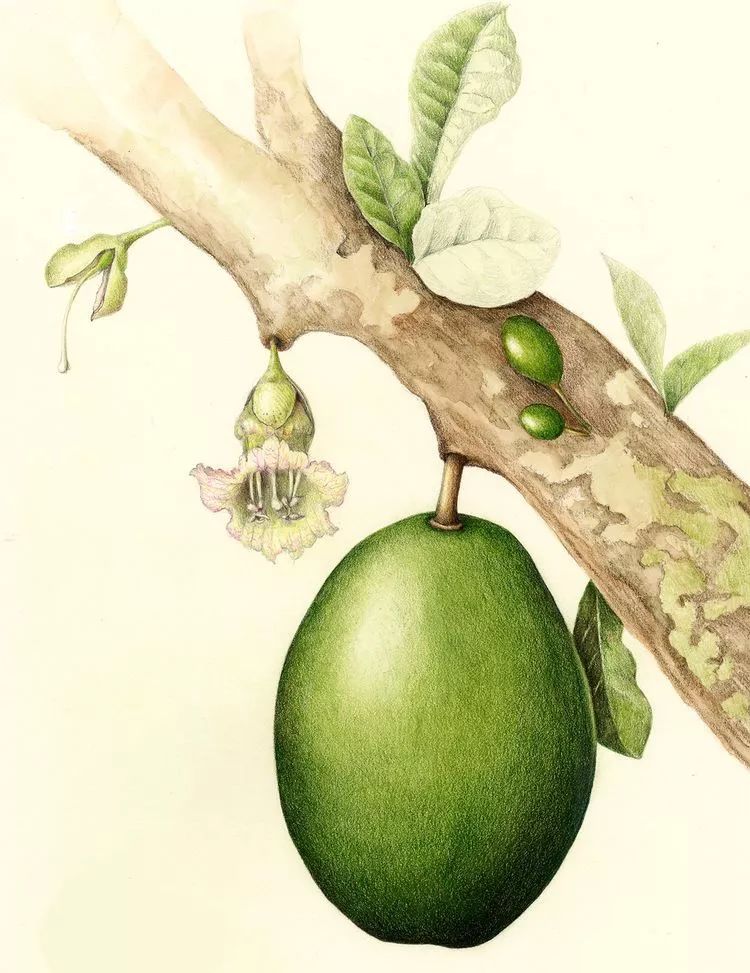 今日立夏愿你轻松一夏,今日立夏愿一切美好