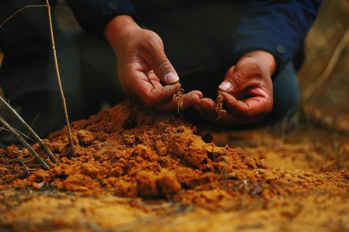 行走在大漠戈壁,行走在新疆的胡杨