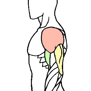 被咬伤感染狂犬病的概率,狂犬病和破伤风的表现有何不同