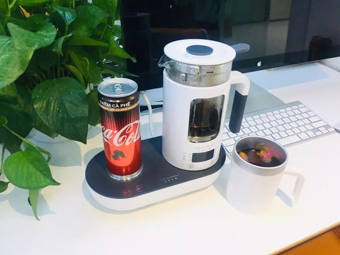 能冰鲜的泡茶壶？！夏天有了它，冰饮料、热养生茶全搞定了！