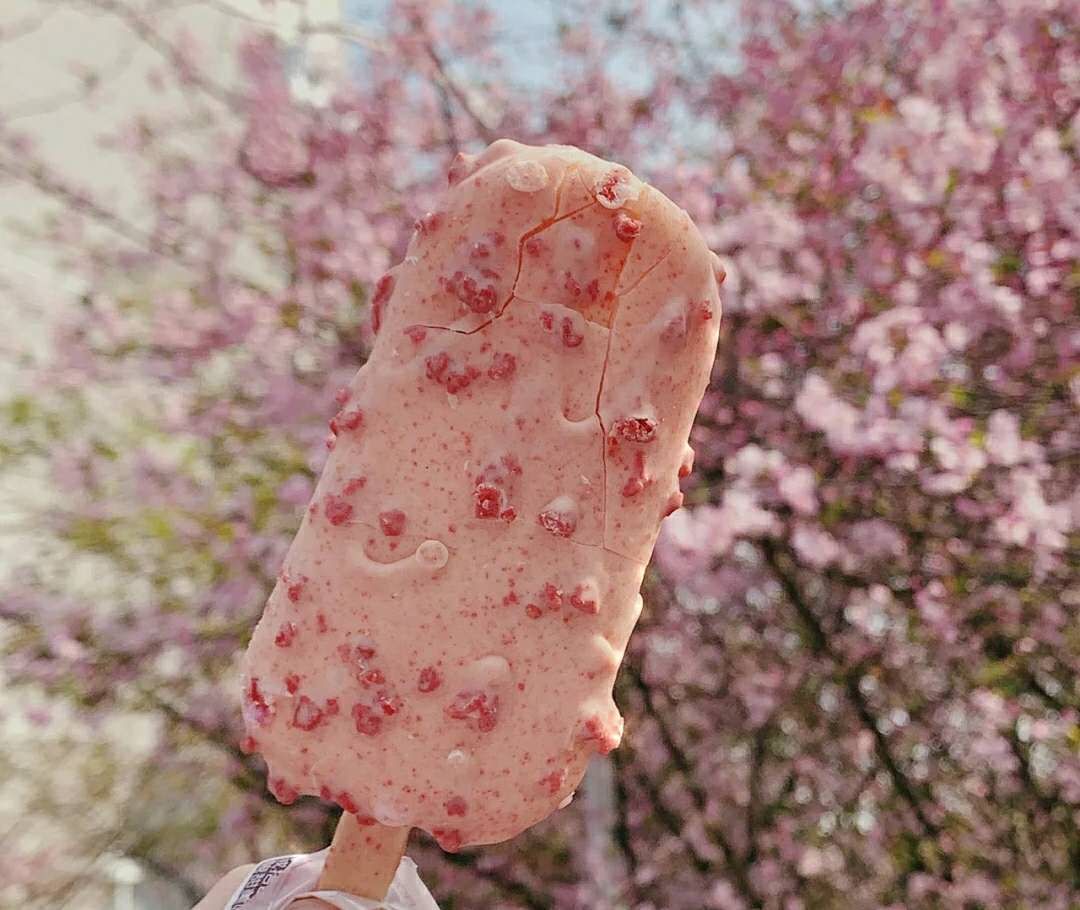 测评最火的网红雪糕,十大网红雪糕测评