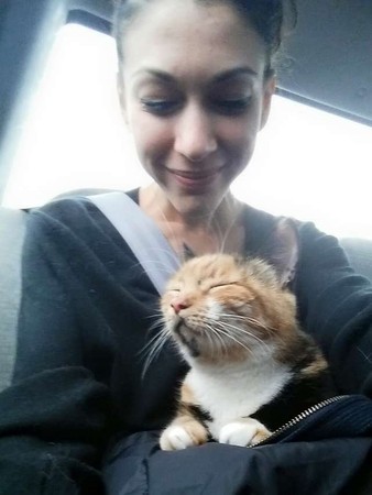 喵误按Enter键　竟帮主人发大财爽赚300万