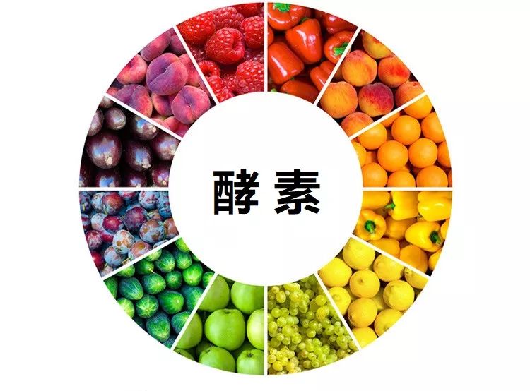 专家讲解酵素的危害和骗局,酵素骗局揭秘真相