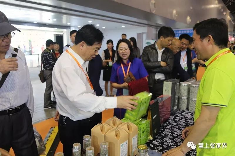 杭州茶博会莓茶是哪种,茶博会莓茶