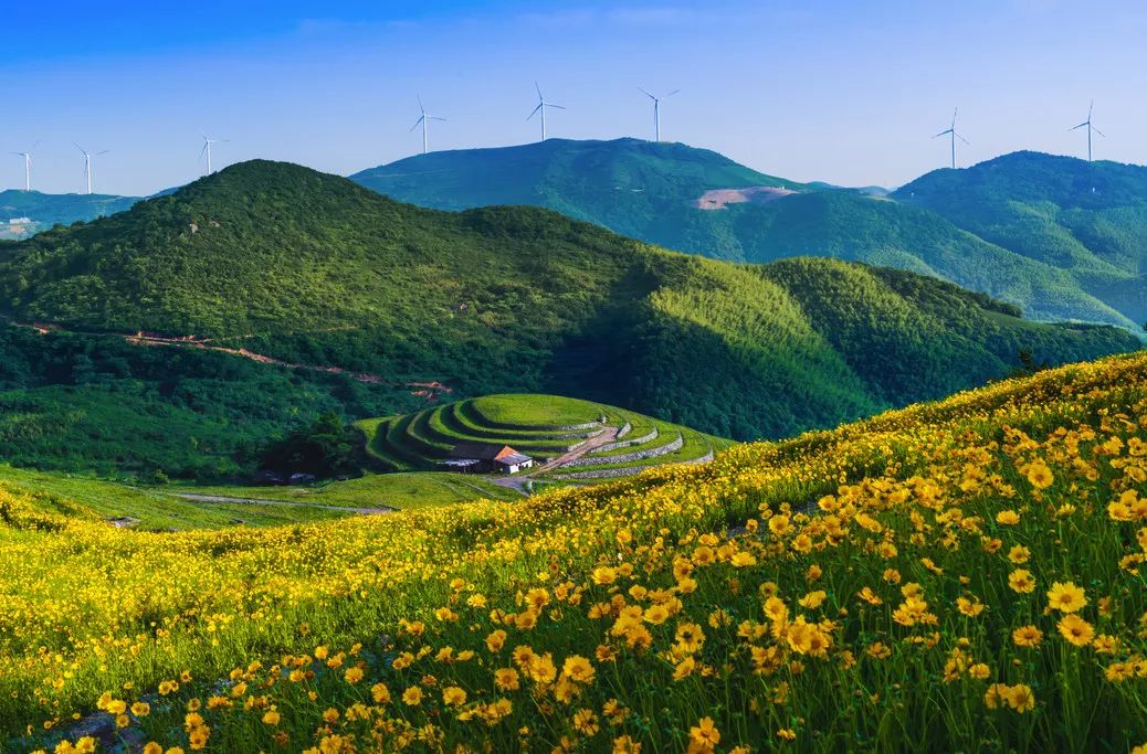 鄞州附近的旅游景点推荐,鄞州一日游必去景点