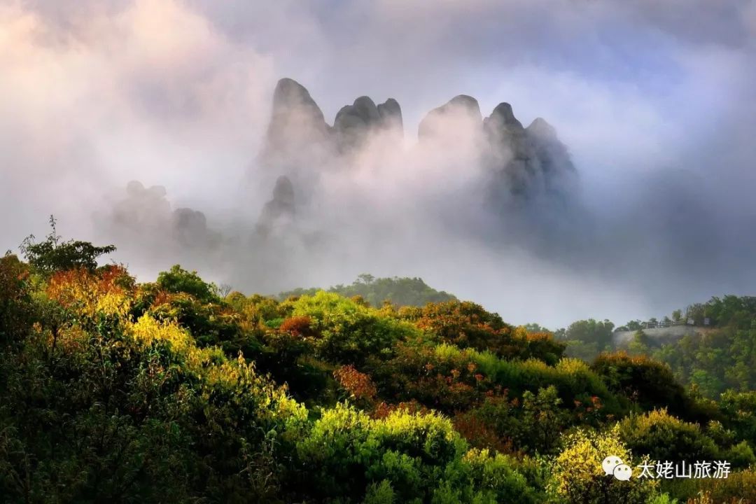 唐颐｜太姥山巅碧空长净