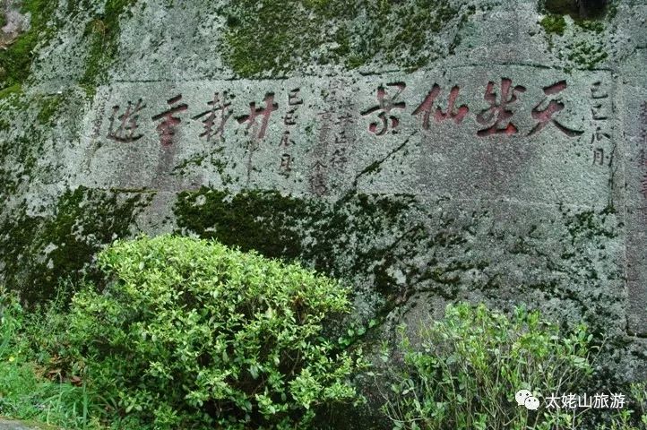 唐颐｜太姥山巅碧空长净