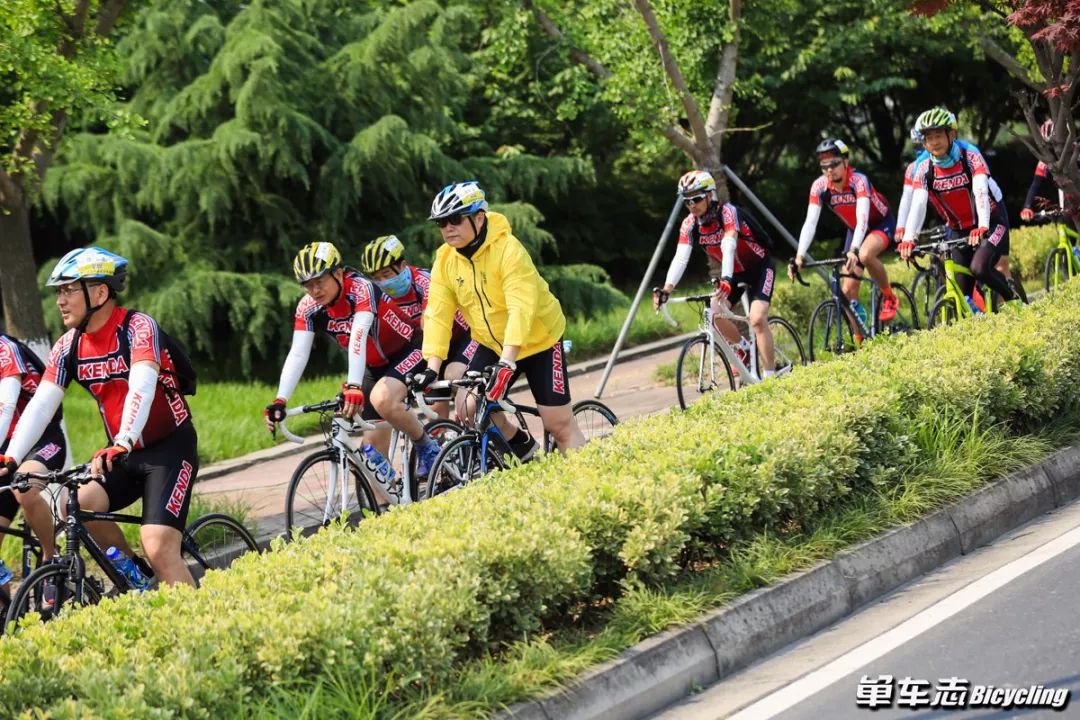 建大adv龟背轮胎,2019款建大轮胎测评