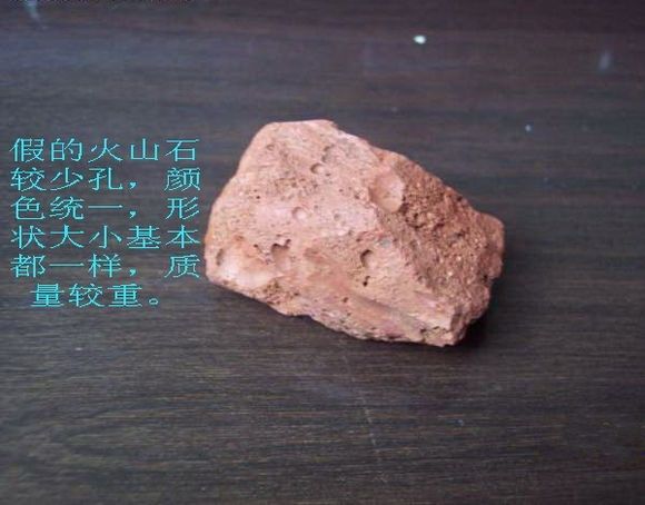 缸里面的底砂到底是什么,高手揭秘必须知道的技巧