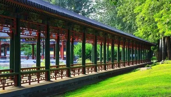 感恩母亲节寸草报春晖,母亲节谁言寸草心报得三春晖