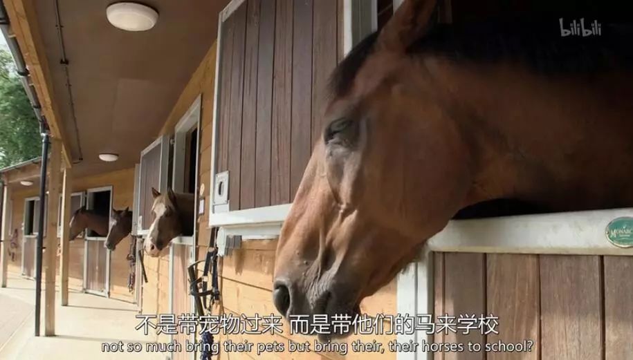 英国富豪的日常纪录片,英国亿万富翁的生活纪录片