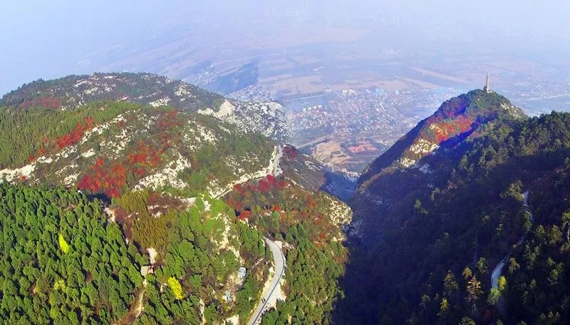 太原银杏林网红打卡地,太原网红打卡地景点