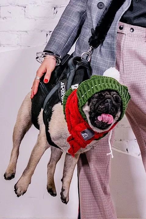 把我设置成不可见了是什么心态,为什么有人把朋友圈设成三天可见