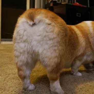 朋友圈设成三天可见代表着什么,有时候把朋友圈设成三天可见