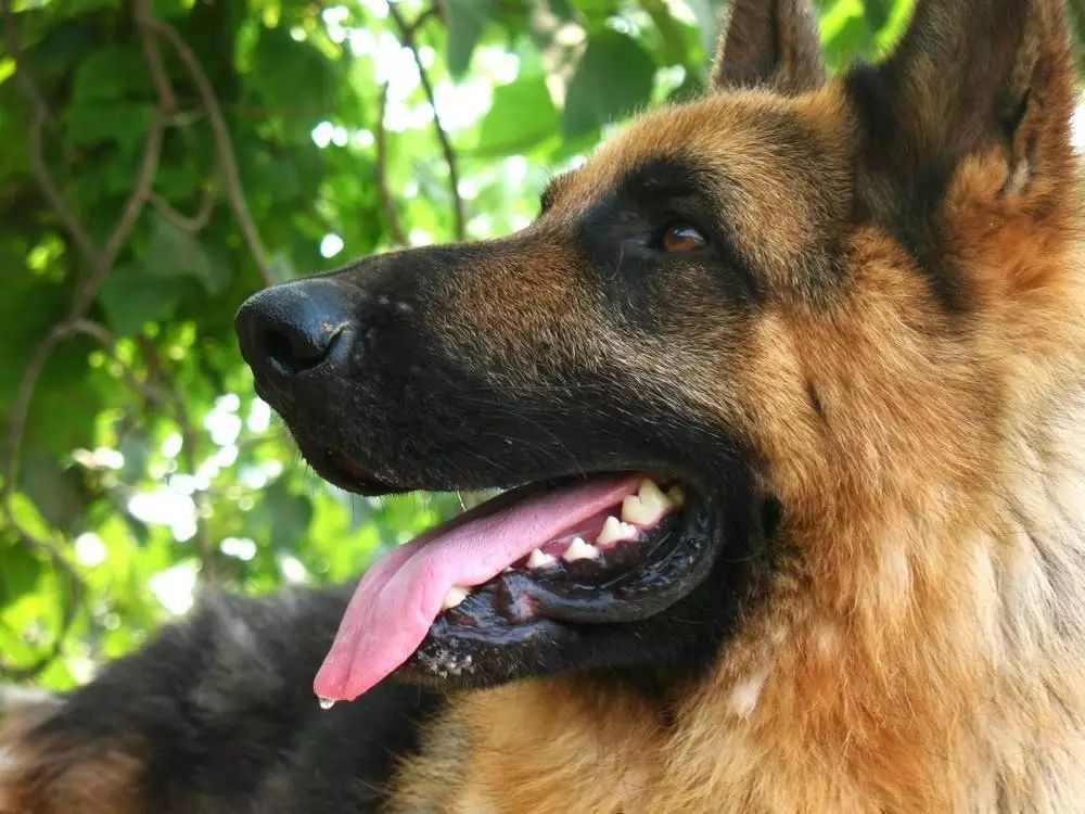 为什么有人把朋友圈设成三天可见,微信怎样把一个人设成三天可见