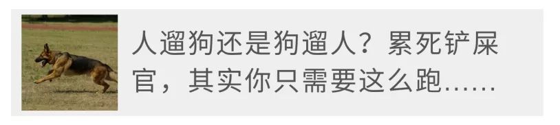 把我设置成不可见了是什么心态,为什么有人把朋友圈设成三天可见