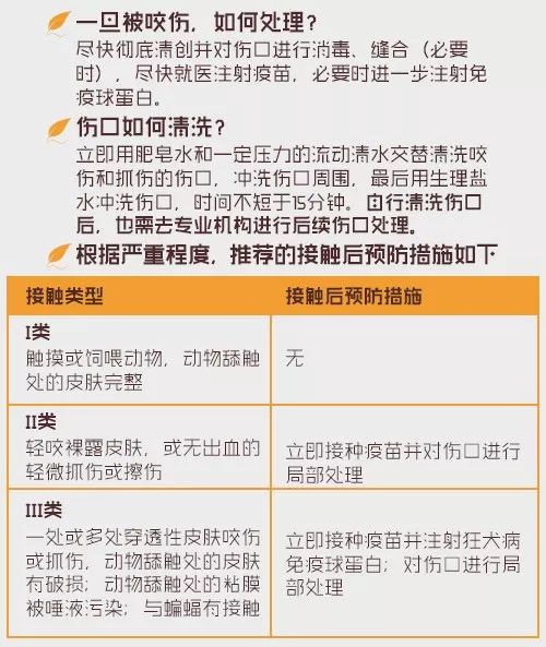 小区流浪狗咬伤20多人,苏州流浪狗被咬视频