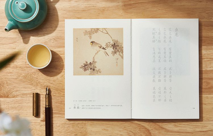 诗经中最唯美的文字,诗经的美才是真的美