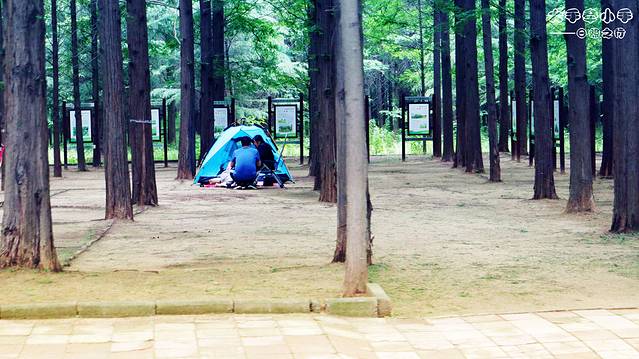 日照天气,日照房价