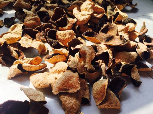 不仅是美味，还是药食！这周加班狗有口福了…