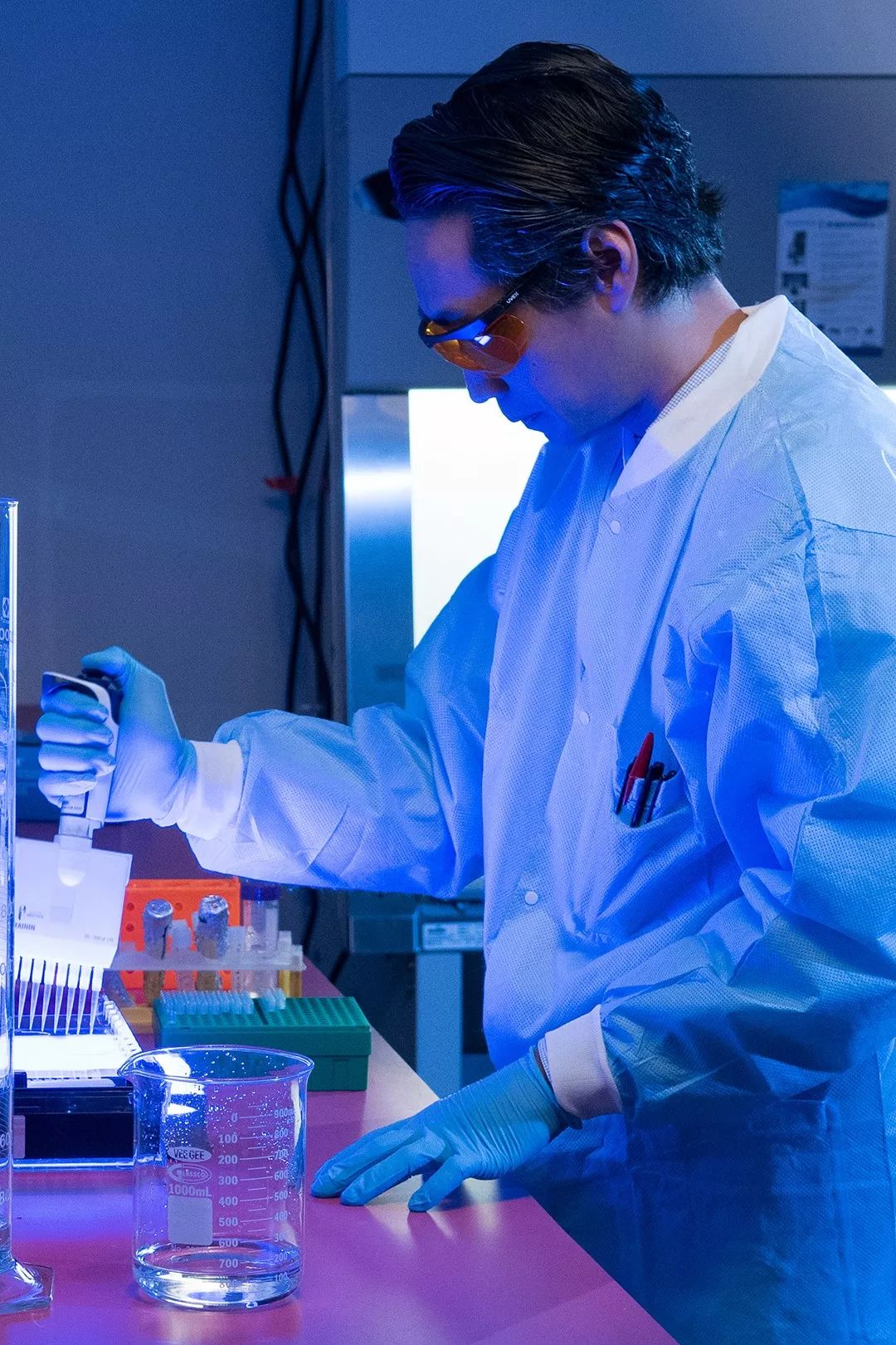 2019美国财富500强排名,美国历年500强数量