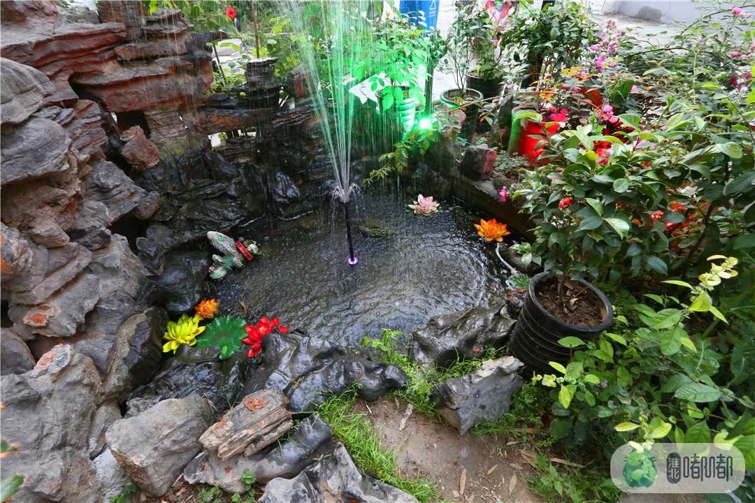 一口入魂的咖喱饺,一口入魂的原汁原味