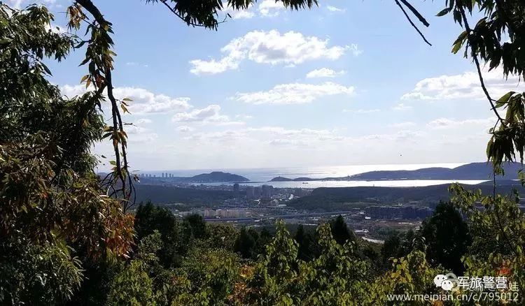 玩转大连森林公园,逛遍大连森林公园