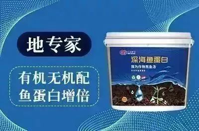 地下害虫的主要防治措施是什么,地下害虫和地面害虫怎样防治