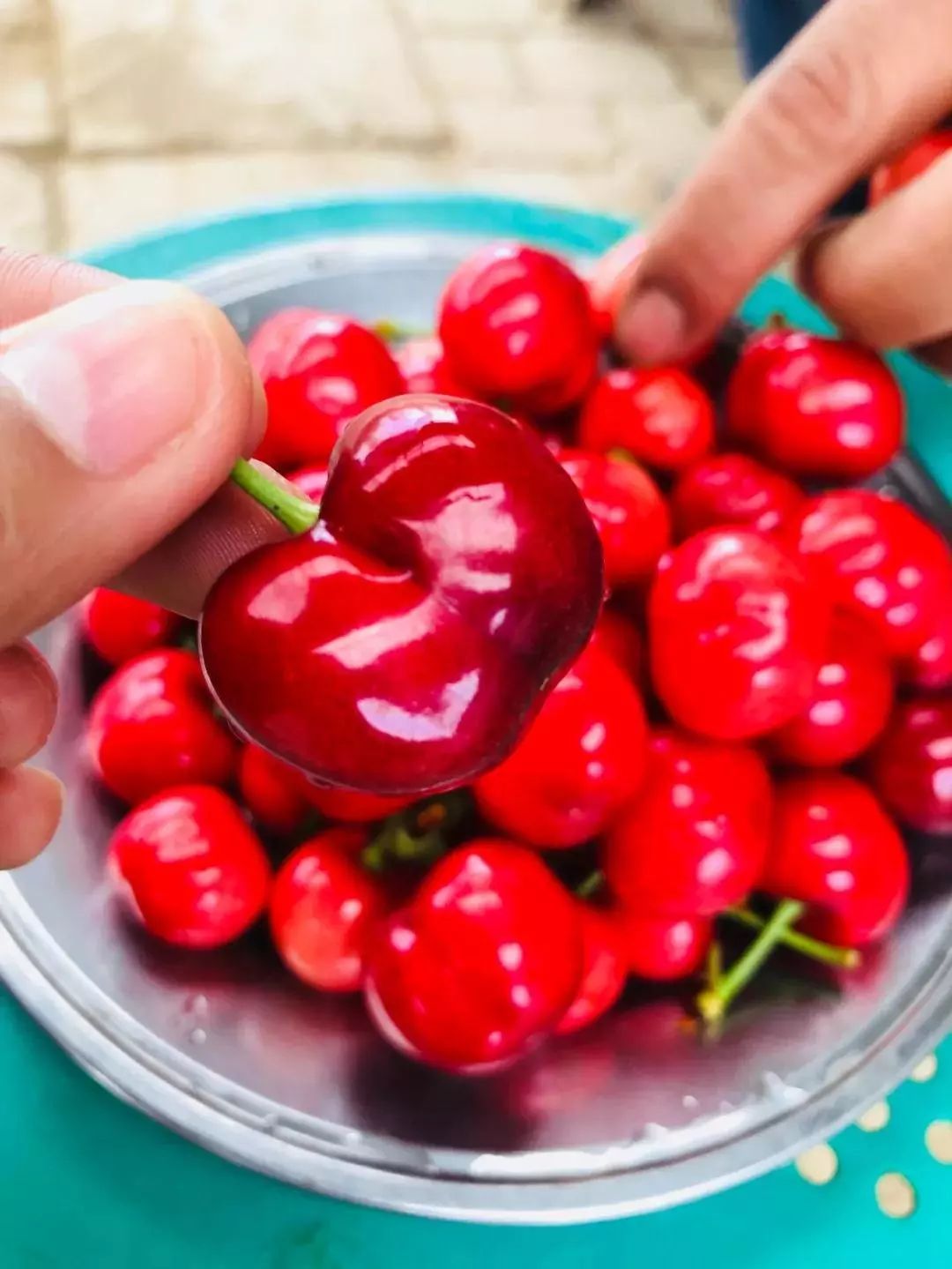 拿好这篇西安采摘樱桃指南,西安白鹿原樱桃采摘