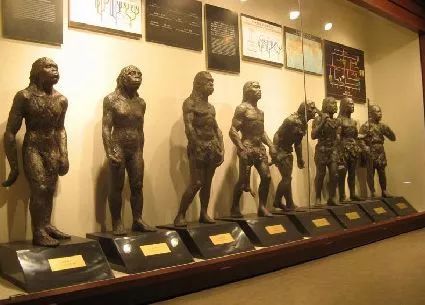 博物馆日各地有什么活动,厦门必须去的博物馆