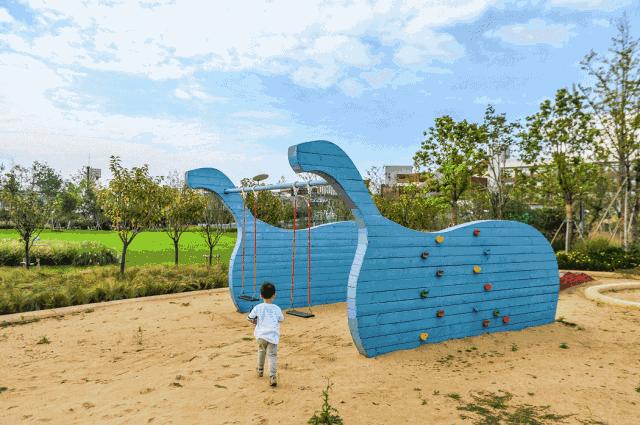 水月周庄铂尔曼酒店夜景,周庄水月铂尔曼酒店