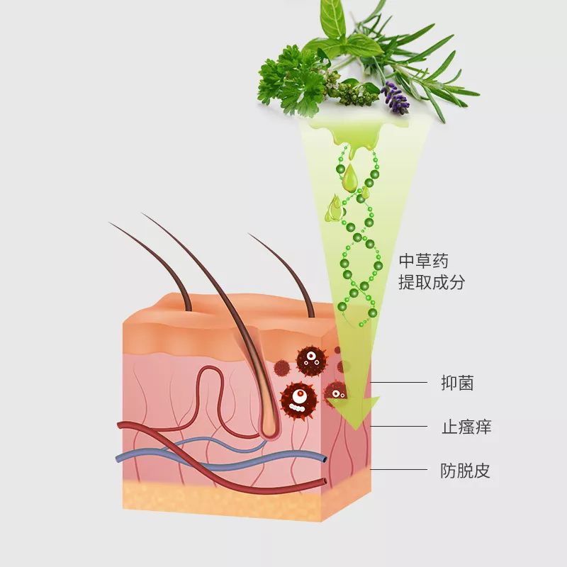 专治脚气的神奇药,十多年的脚气三味中药一招搞定