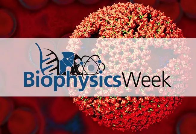 生物学与物理学,生物学和物理的结合学科