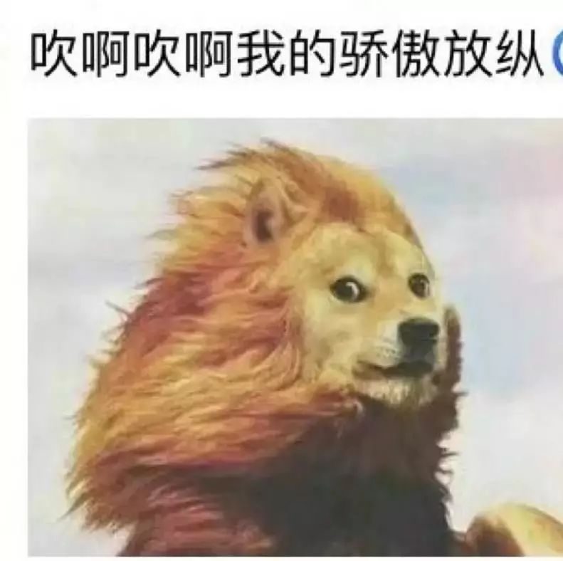 大同寒潮,大同寒潮黄色预警