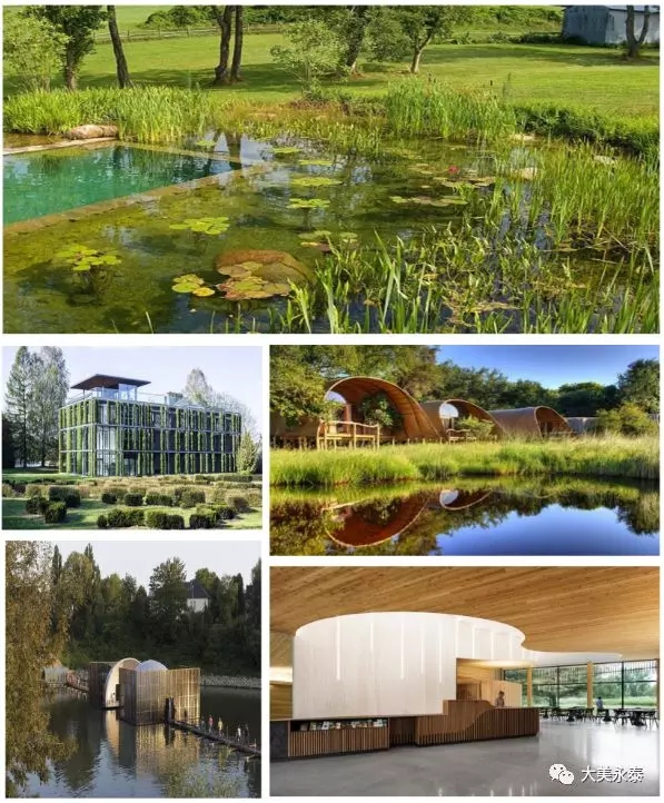 长隆野生动物园园区图,长隆野生动物园实景图