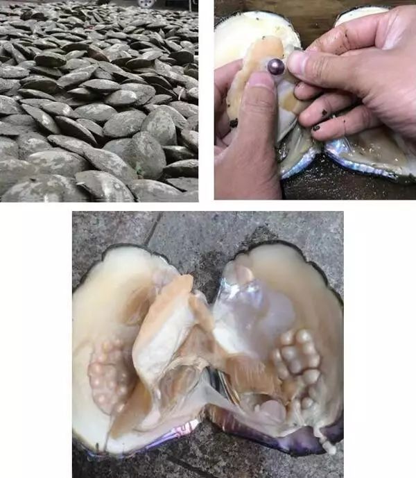 明星车手见面会、舞台表演、现场福利,车迷日最强攻略在这里!