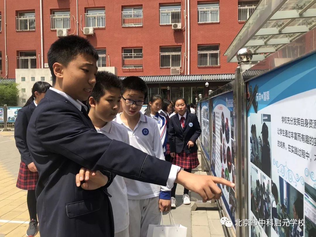 小初衔接学校活动,小初衔接