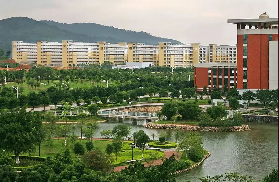 李红军韶关视频,韶关翁源县委书记李红军