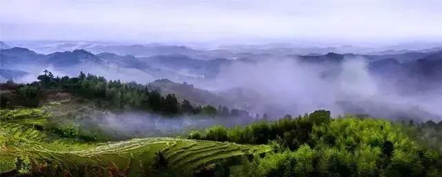南平除了武夷山还有哪些景点,福建南平市武夷山风景区游记