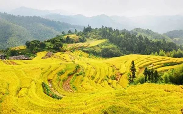 南平除了武夷山还有哪些景点,福建南平市武夷山风景区游记