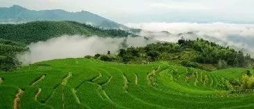 南平除了武夷山还有哪些景点,福建南平市武夷山风景区游记