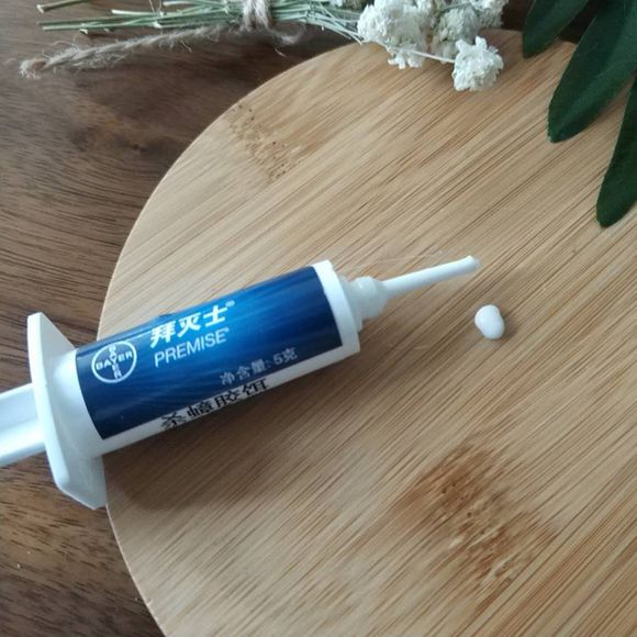 想要消灭家里蟑螂,家里有蟑螂可以请专业人士来灭吗